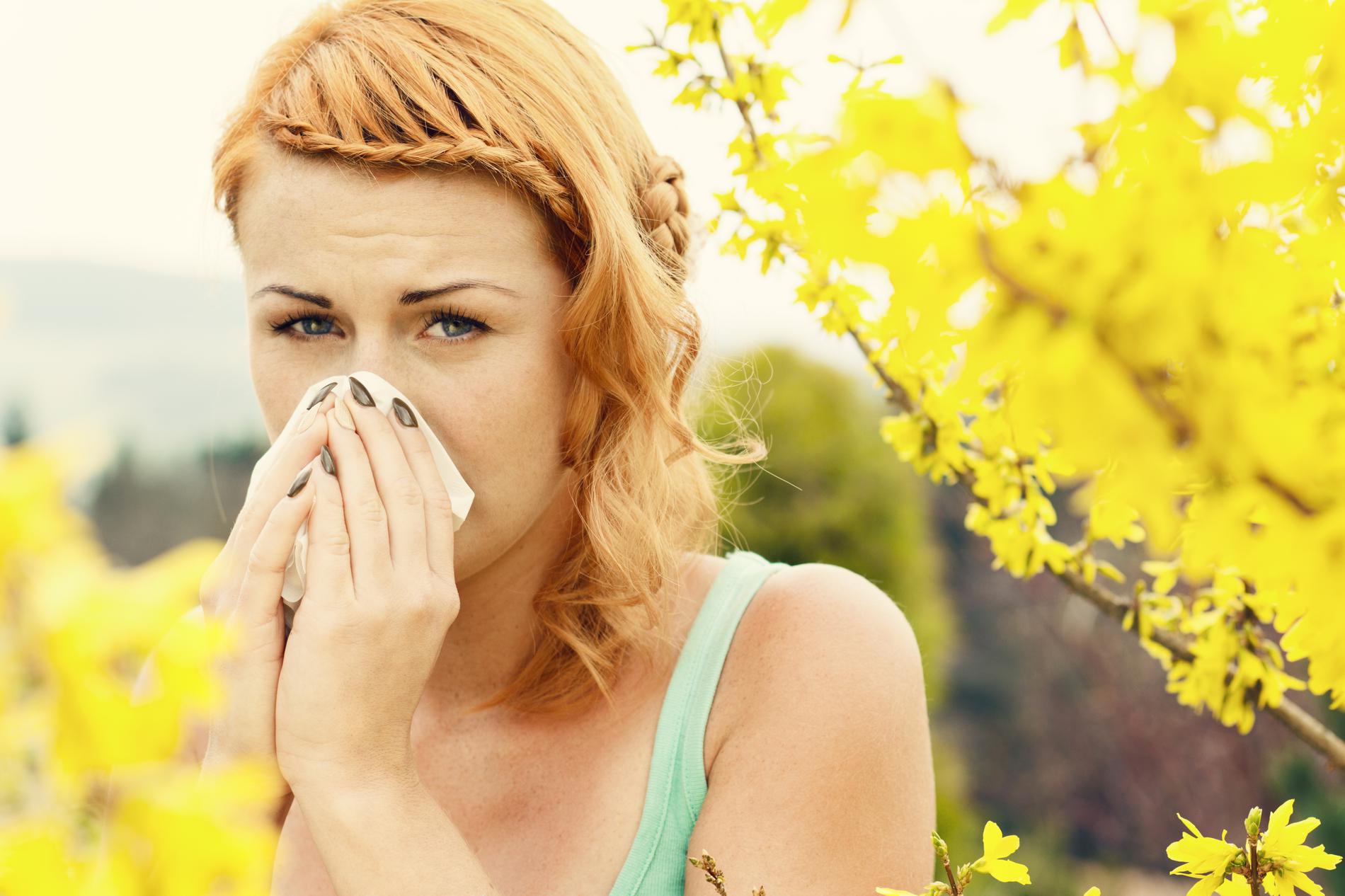 Comment lutter contre les allergies respiratoires ?