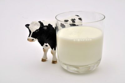 Consommation de lait de vache : les risques pour la santé
