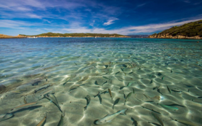 S’offrir des vacances bien-être à Hyères