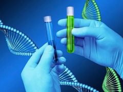 Le test de paternité : c&rsquo;est quoi ?